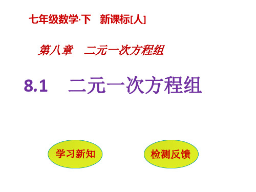 人教版七年级数学下册教学课件8.1 二元一次方程组