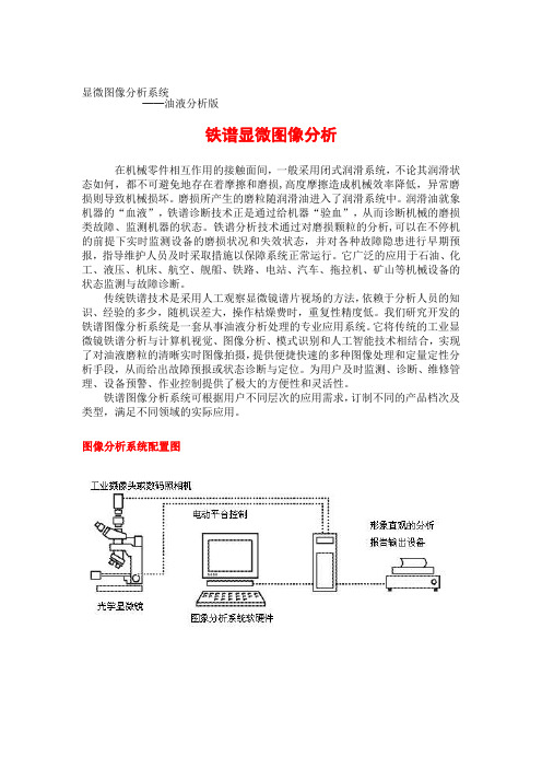 铁谱图像分析系统