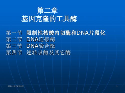 基因工程中工具酶 限制酶的应用 PPT课件