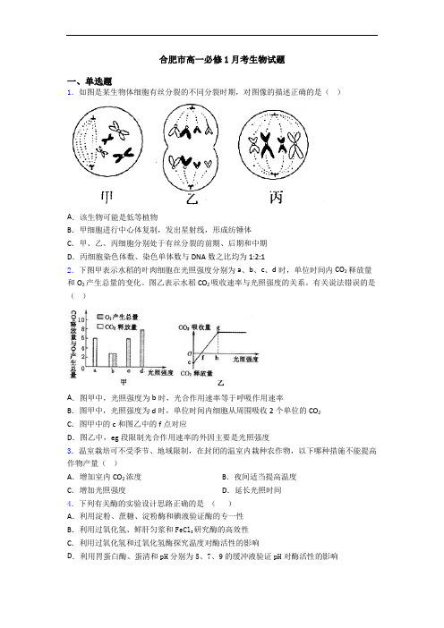 合肥市高一必修1月考生物试题