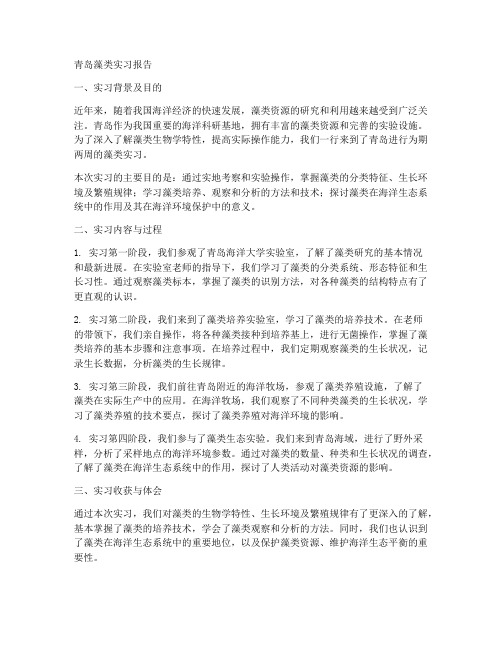 青岛藻类实习报告