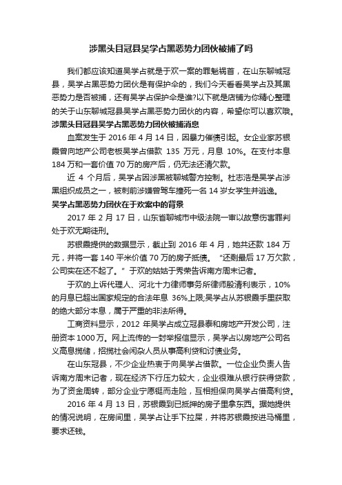 涉黑头目冠县吴学占黑恶势力团伙被捕了吗