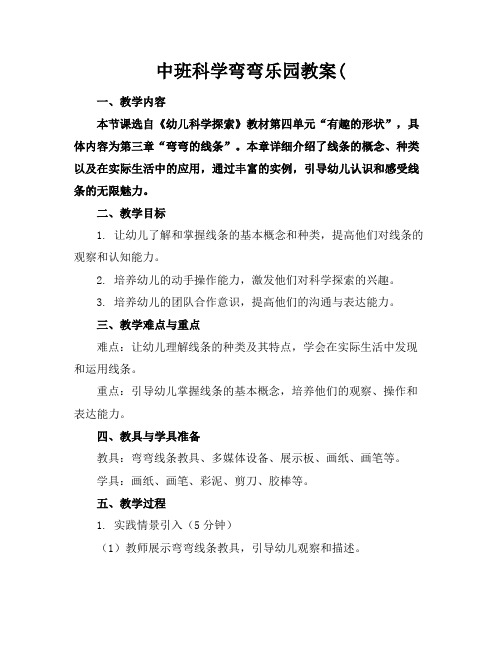 中班科学弯弯乐园教案(