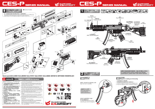 ICP-212S3 枪支说明书