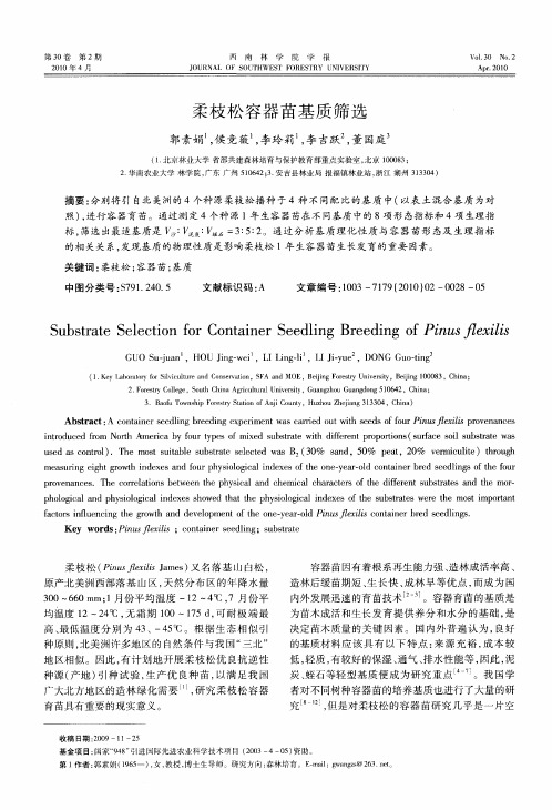 柔枝松容器苗基质筛选