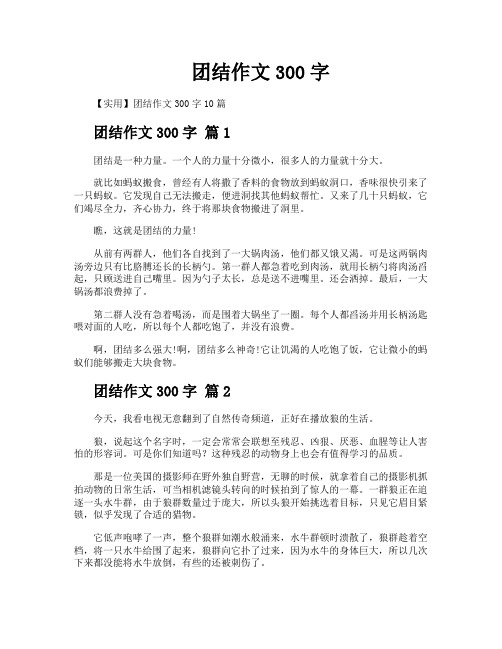 团结作文300字