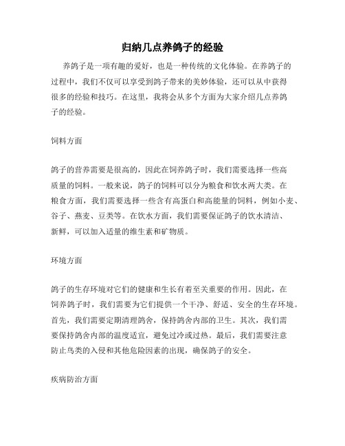 归纳几点养鸽子的经验