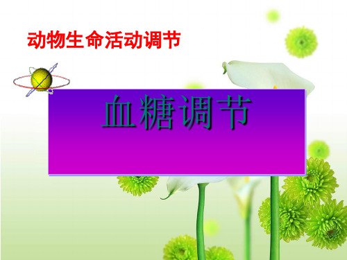 《血糖调节》PPT课件1