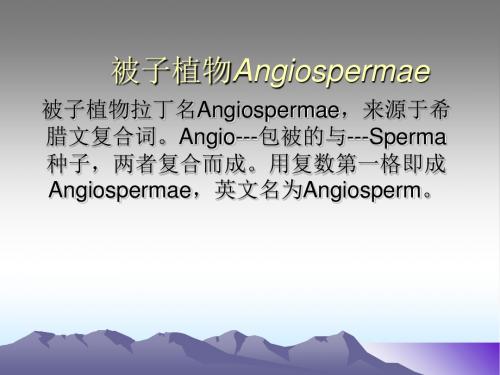 被子植物Angiospermae-精品文档