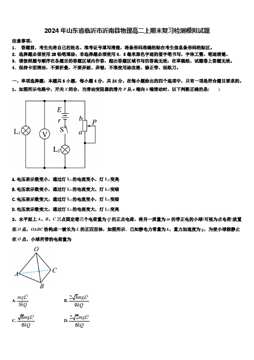 2024年山东省临沂市沂南县物理高二上期末复习检测模拟试题含解析