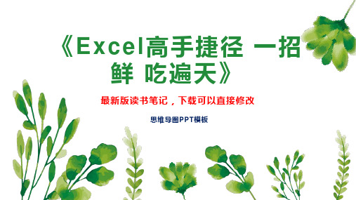 《Excel高手捷径 一招鲜 吃遍天》读书笔记思维导图PPT模板下载