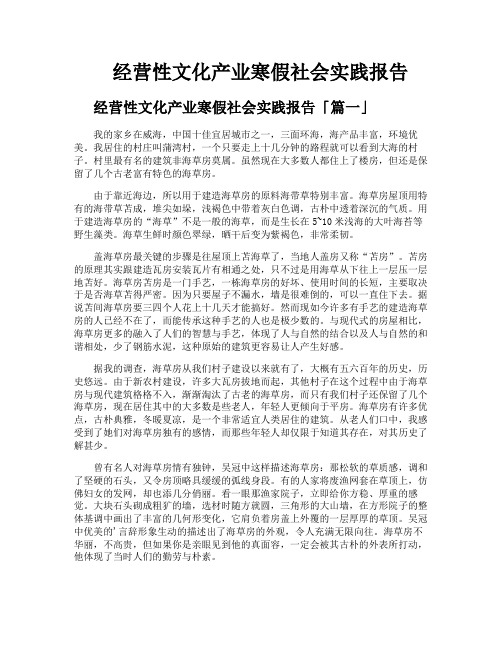 经营性文化产业寒假社会实践报告