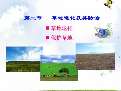 2019-2020版人教版高中地理选修六课件：4.2草地退化及其防治(共22张PPT)