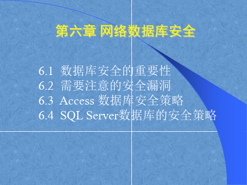 网络安全基础教程电子课件——网络数据库安全