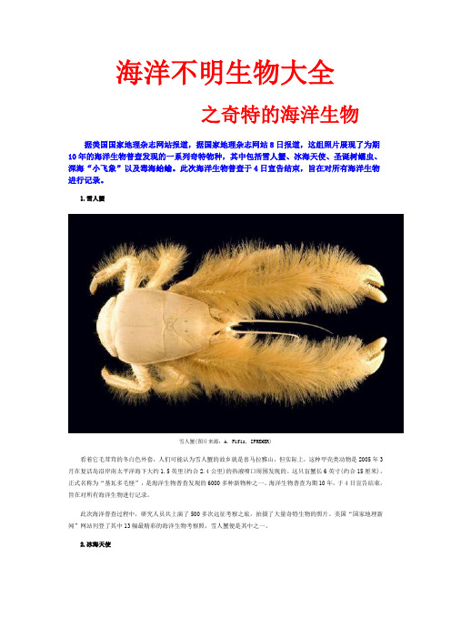 海洋不明生物大全之奇特的海洋生物