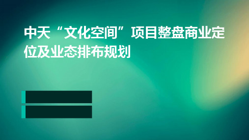 中天“文化空间”项目整盘商业定位及业态排布规划