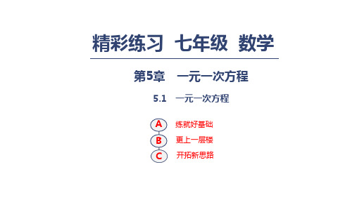 浙教版七年级数学上册练习课件：第5章 一元一次方程 5.1 一元一次方程(共14张PPT)