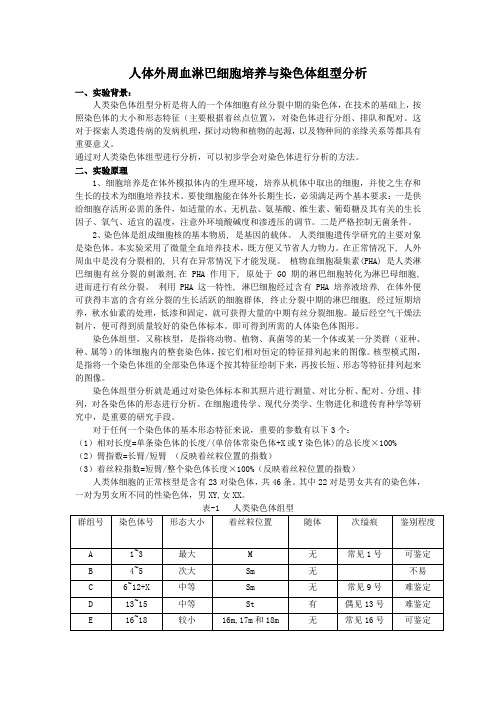 细胞自主实验_人体外周血淋巴细胞培养与染色体组型76分析