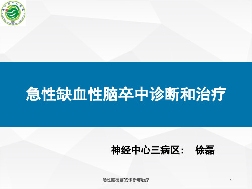 急性脑梗塞的诊断与治疗ppt课件