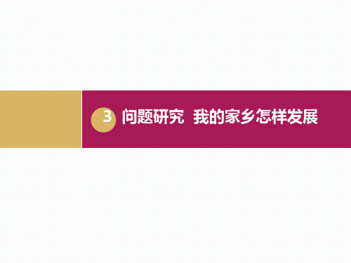 人教版必修三第四章 区域经济发展》问题研究 我的家乡怎样发展(共18张ppt)