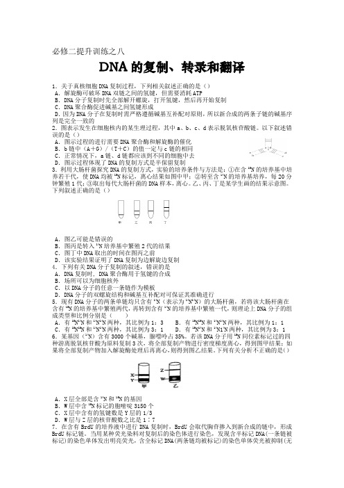 高中生物必修二提升训练之八：DNA的复制、转录和翻译