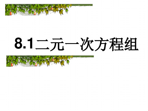 人教七年级数学下册第8章81 二元一次方程组 课件共15张