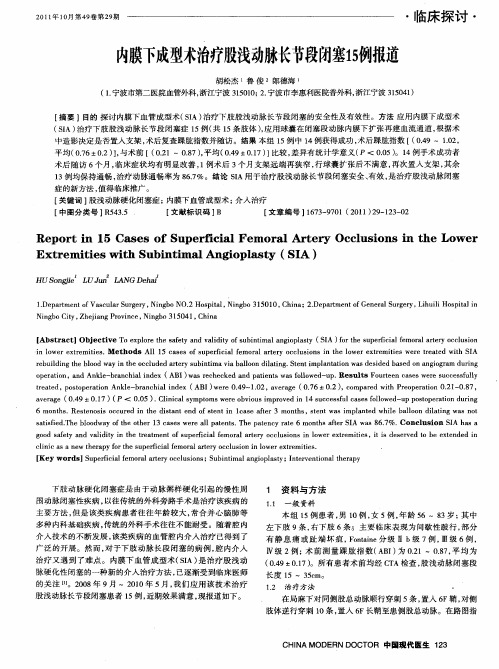 内膜下成型术治疗股浅动脉长节段闭塞15例报道