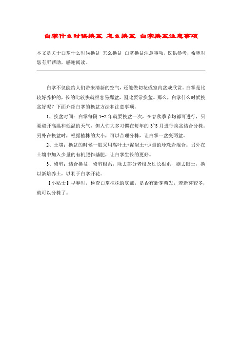 白掌什么时候换盆 怎么换盆 白掌换盆注意事项