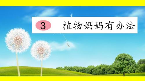 部编本二年级语文上册《3植物妈妈有办法》观摩课示范课公开课优质课赛教课最新精品优秀课件PPT