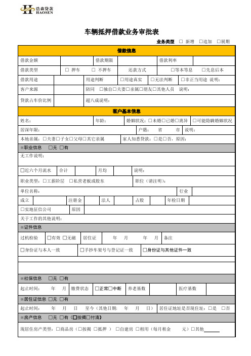 3.车辆抵押借款业务审批表