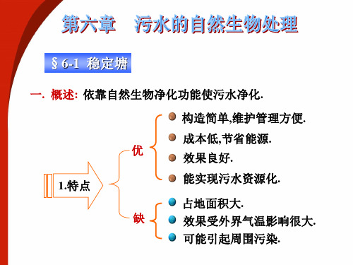 6 污水的自然生物处理