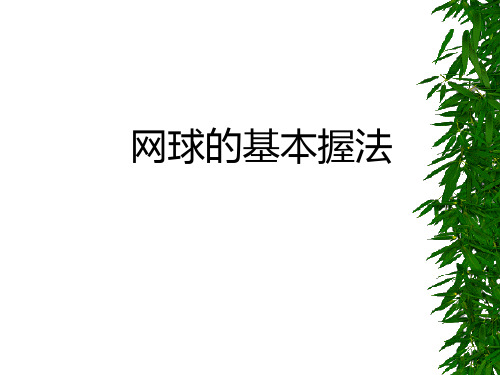 网球的基本握法wq