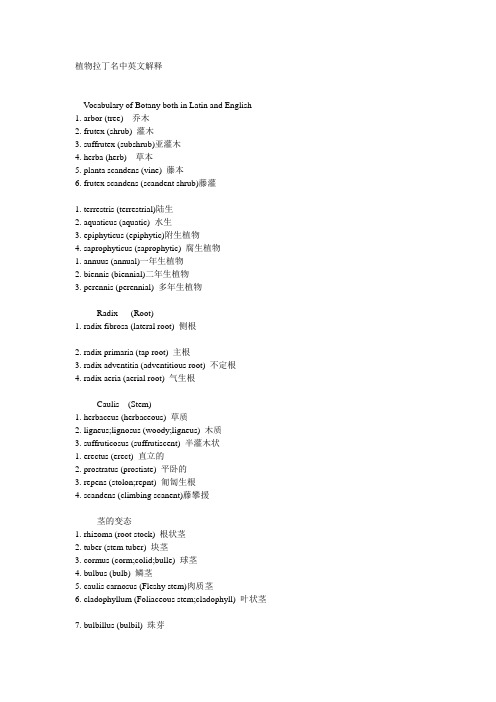 植物拉丁名中英文解释