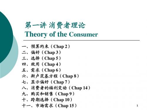 中级微观经济学第1讲 消费者理论