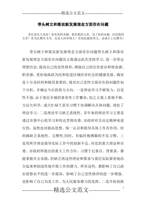 带头树立和落实新发展理念方面存在问题