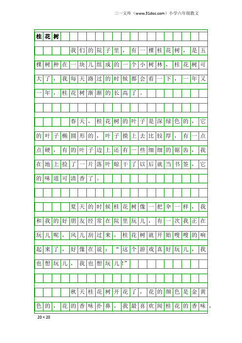 小学六年级散文：桂花树