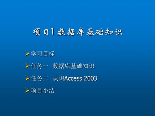 Access 2003中文版实用教程项目1 数据库基础知识