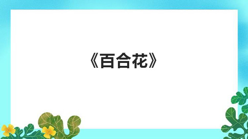 《百合花》精品课件