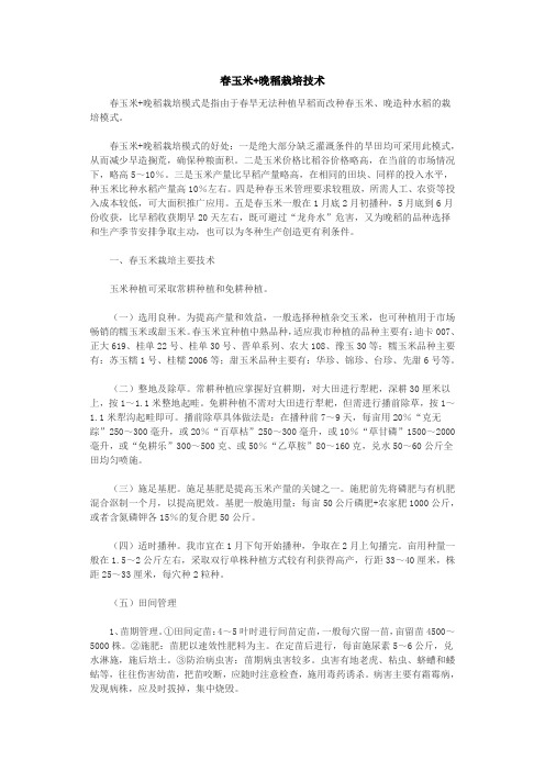 春玉米种植技术