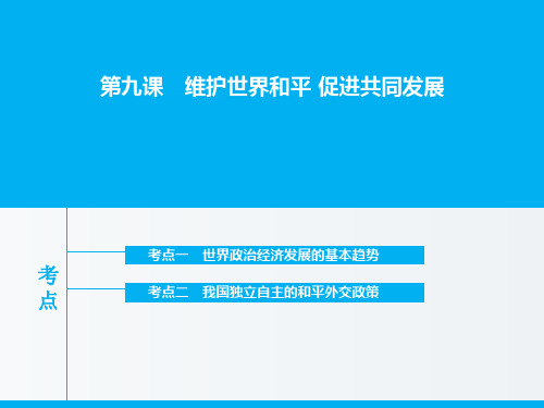 高三政治 一轮复习 政治生活 第九课 维护世界和平课件