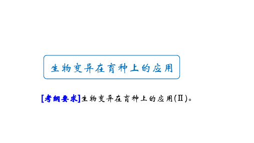 2023届高三生物一轮复习课件：生物变异在育种上的应用