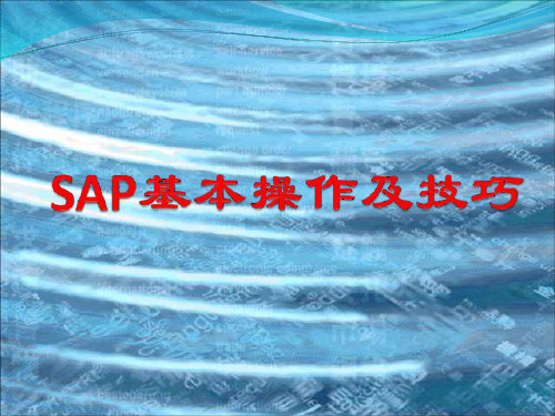 SAP基本操作及技巧(PPT43页)