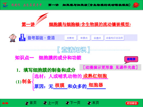 第一讲  细胞膜与细胞核(含生物膜的流动镶嵌模型)