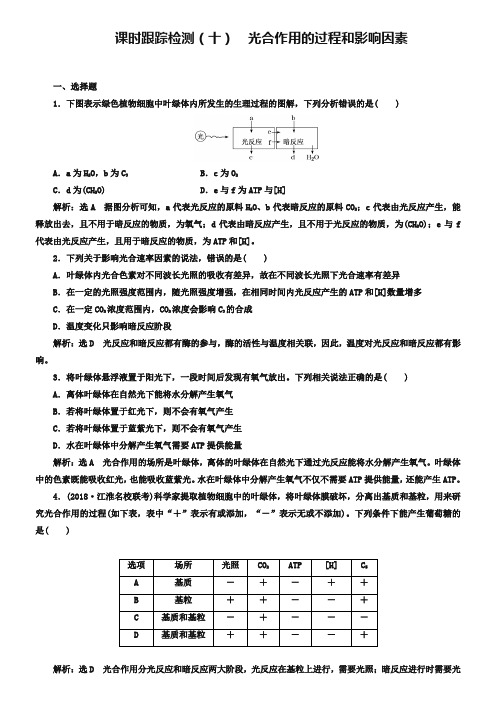 2019版高考生物新三维(通用版)一轮课时跟踪检测(十) 光合作用的过程和影响因素 Word版含解析-