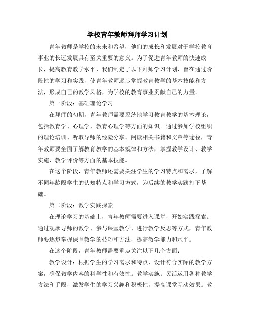 学校青年教师拜师学习计划