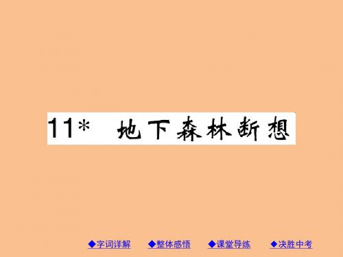 【巴蜀英才】2017春人教版九年级语文下册同步课件第三单元11地下森林断想