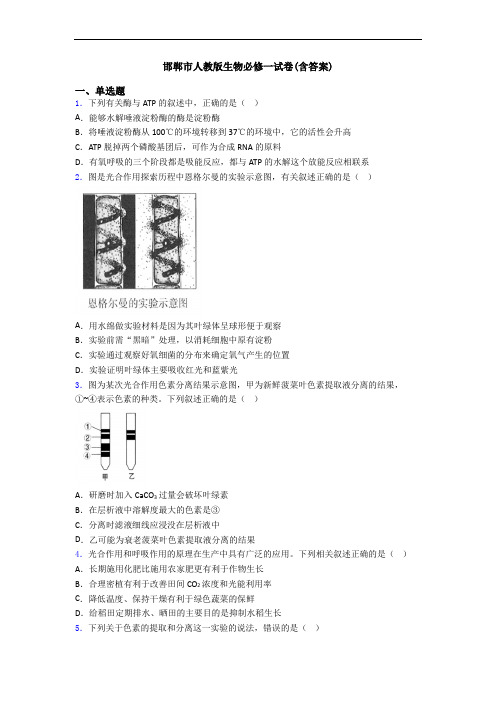 邯郸市人教版生物必修一试卷(含答案)