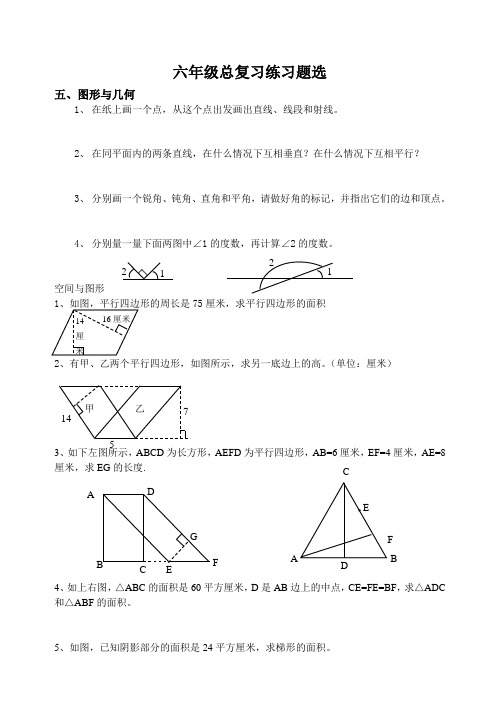 六年级总复习练习题选