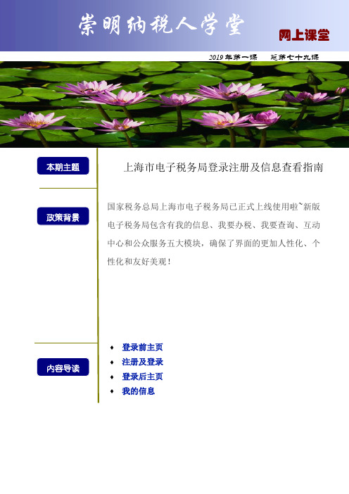 上海市电子税务局登录注册及信息查看指南