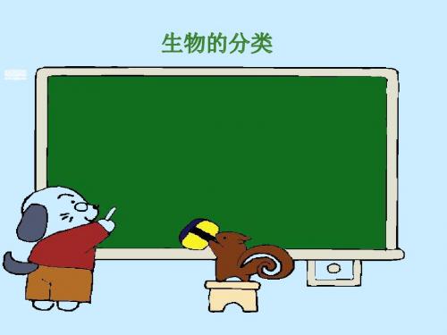 2018浙江中考科学复习名师课件：生物的分类 (共16张PPT)